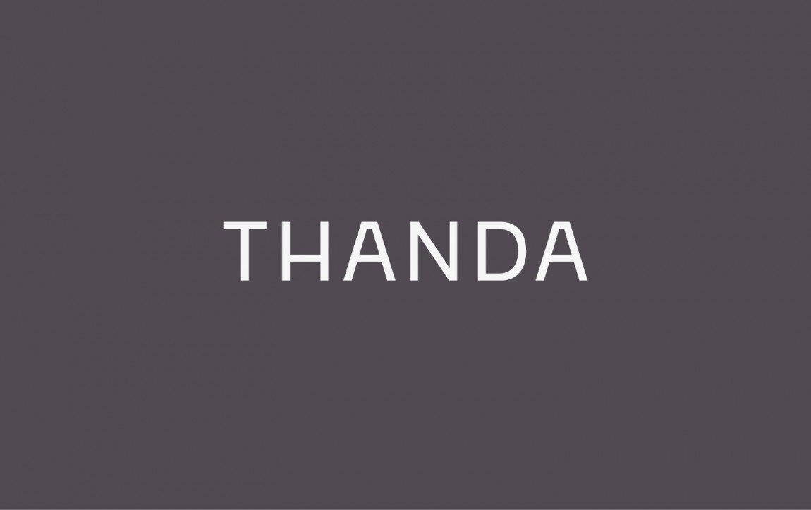 Thanda企业形象设计，字体logo设计