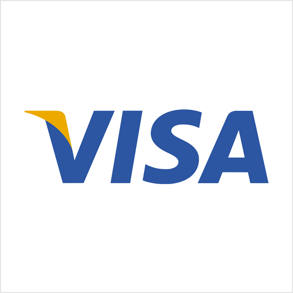 visa 文字標志logo
