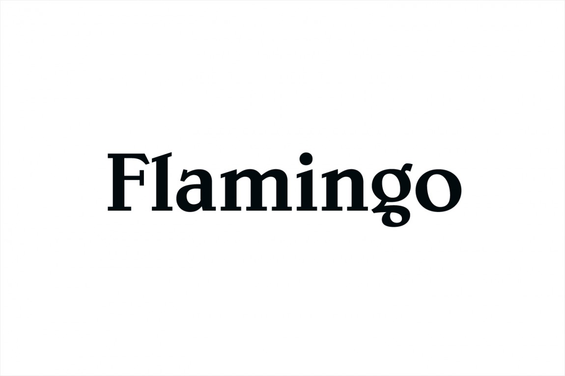  Flamingo 创意品牌logo设计：logo设计