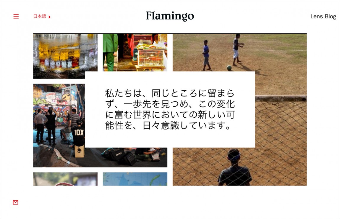  Flamingo 创意品牌logo设计：在线展示设计