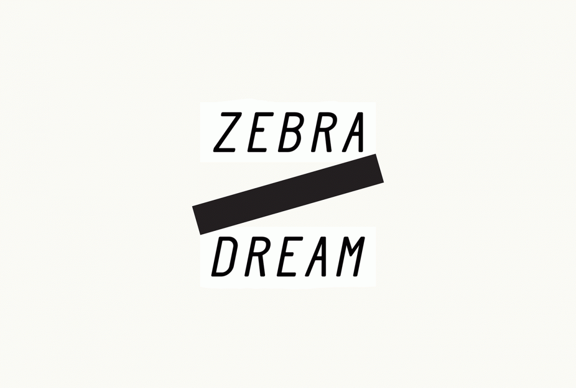 Zebra Dream有机冰淇淋产品品牌包装设计，logo设计
