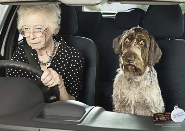 羅湖廣告公司整理：28個狗狗主題商業廣告設計 