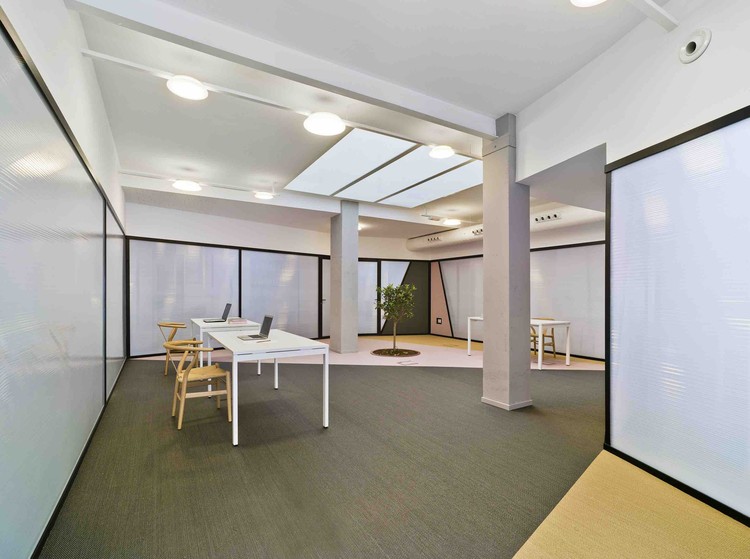 Lano浴在柔和光线下的相互依赖的轻松办公室设计装修