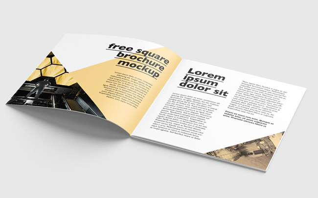 宁波画册设计公司分享：波兰画册设计模版