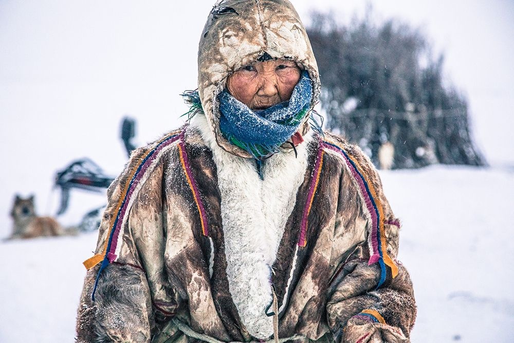 Praskovya is 96 years old, and the oldest Nenets grandmother living on the tundra. Even at 96, her age does not stop her from spending many hours outside, helping with the herd, and cutting firewood. Image credit: Alegra Ally/Schilt Publishing