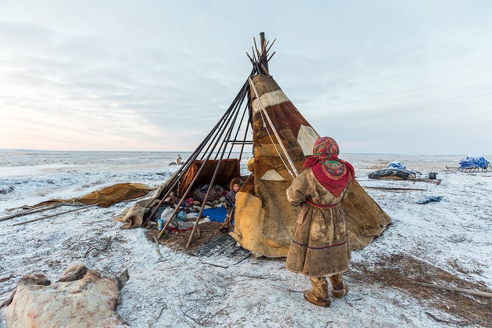 A huge part of the Nentsy’s adaptation to life on the tundra lies in the ingenious design of the chum, the traditional tepee structure that they live in. Image credit: Alegra Ally/Schilt Publishing