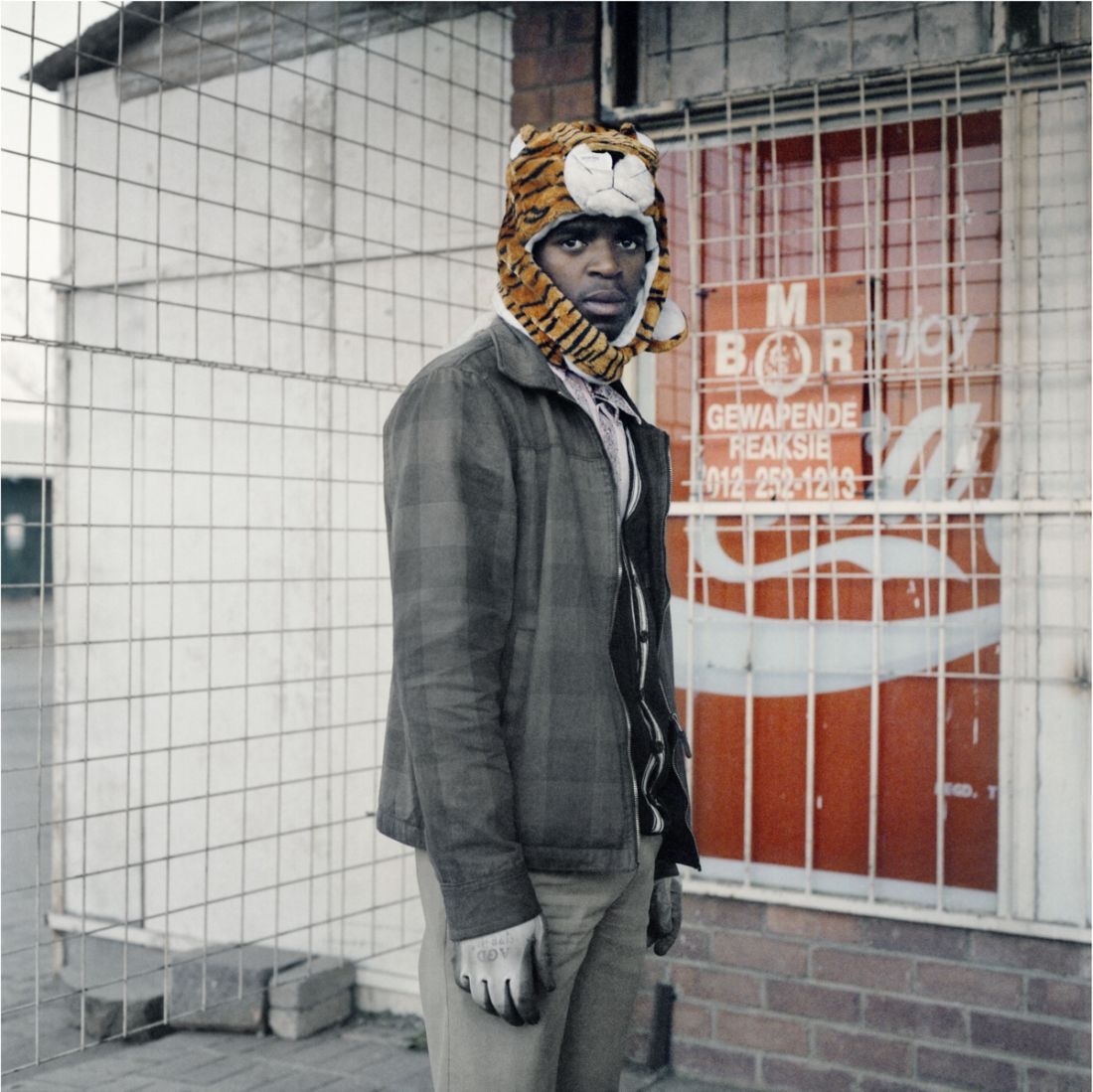 Second Transition, Tiger, 2012; Courtesy of the artist and Goodman Gallery