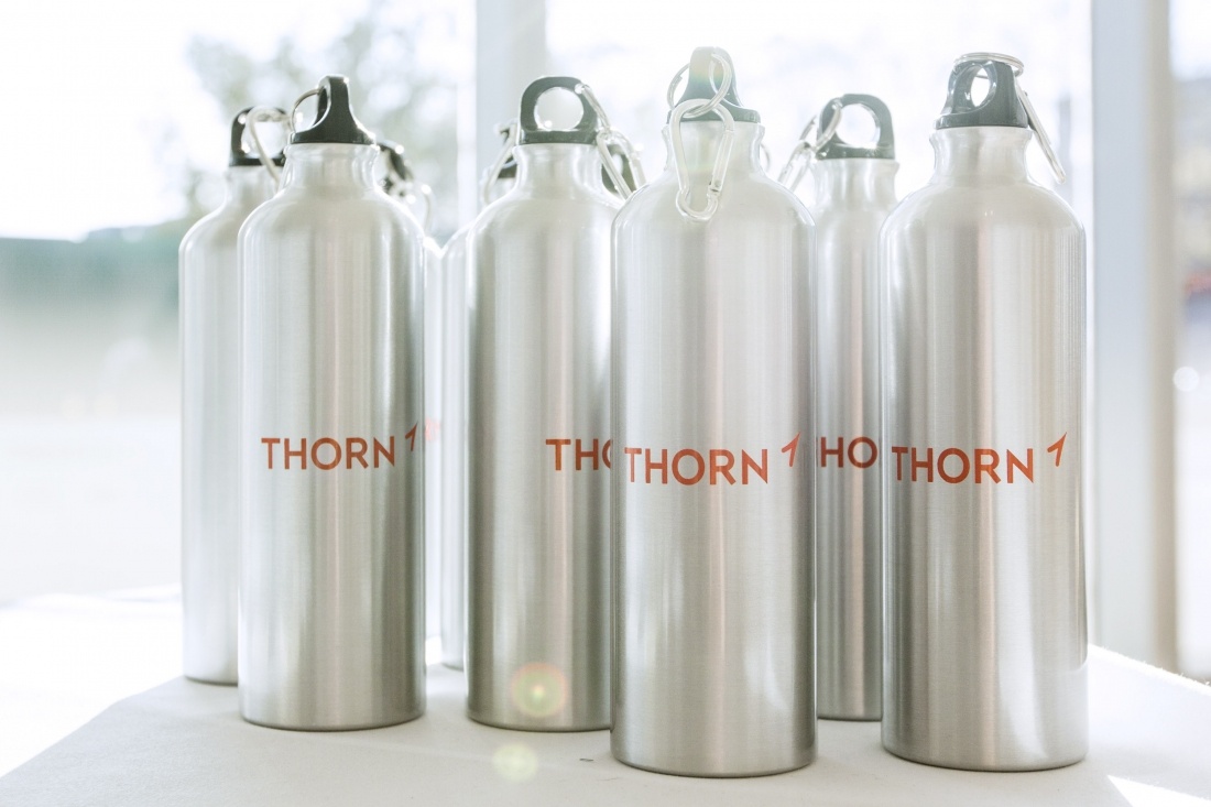 非营利组织Thorn品牌形象vi设计升级改造