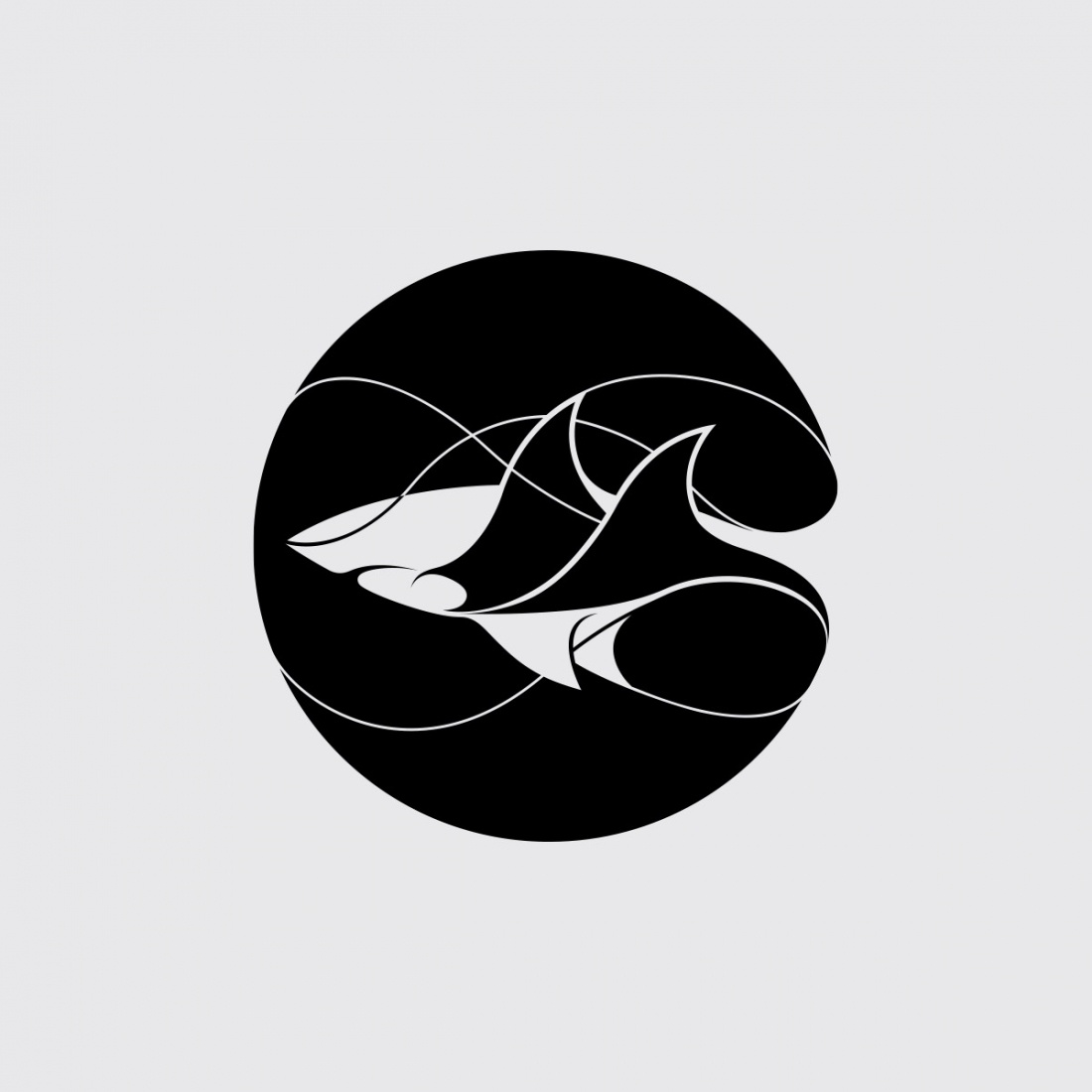 莱昂纳多·迪卡普里奥野生动物保护基金会标志logo设计