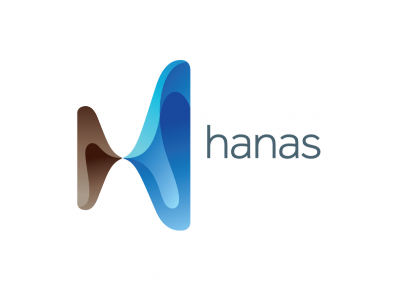 Hanas logo wordmark