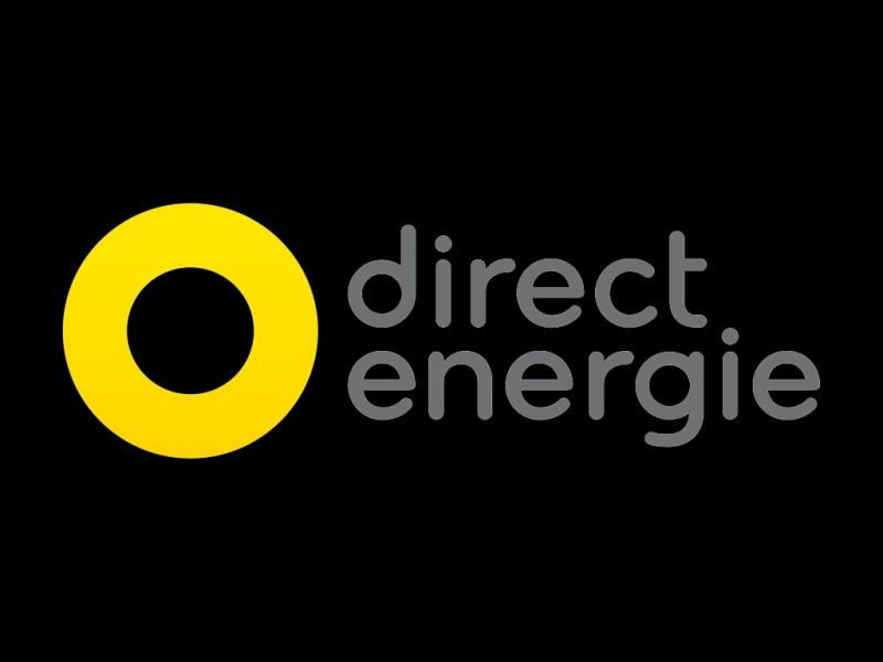 Direct Énergie法国电力和天然气供应商logo设计