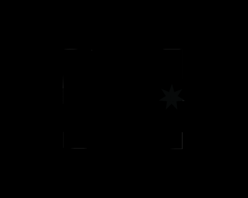 DCshoes logo