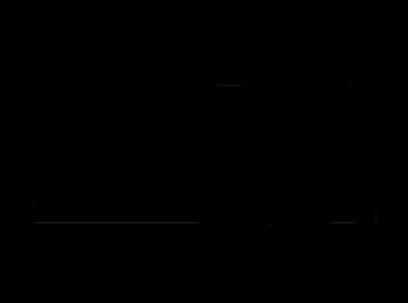Slazenger logo wordmark
