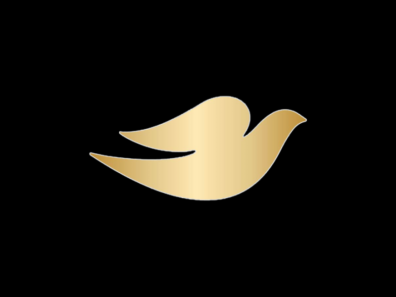 联合利华旗下个人护理品牌Dove多芬logo设计