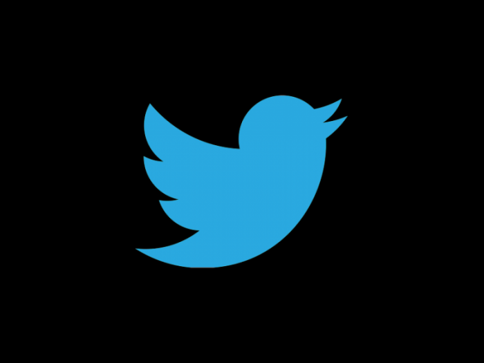 Twitter在线社交蓝色小鸟logo设计