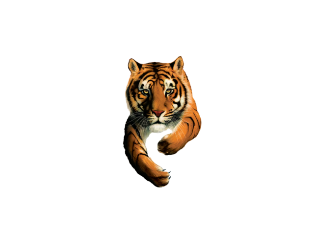 南非Tiger快速消费品logo设计