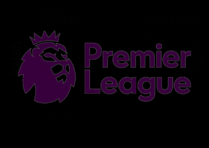 Premier League logo 2016 logotype