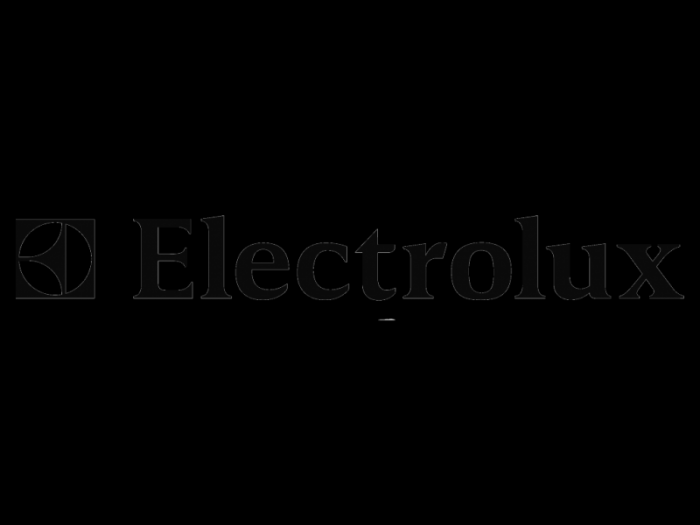 Electrolux logo old wordmark