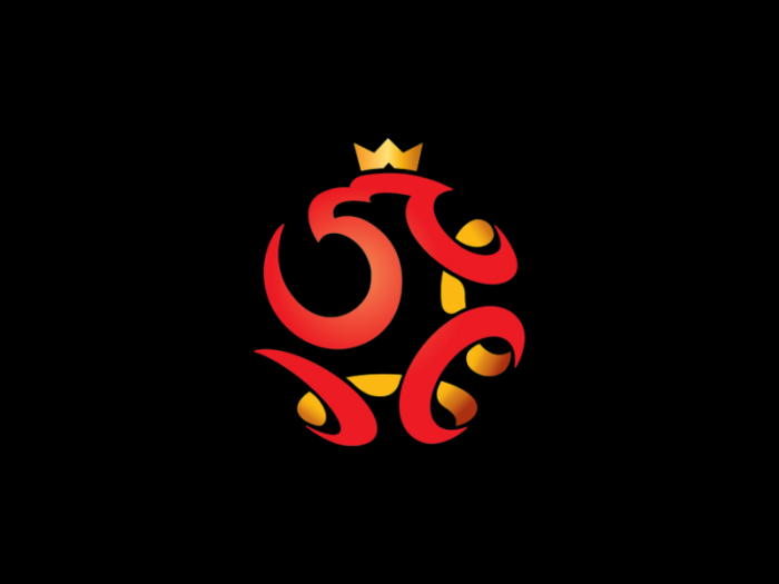 PZPN波兰足球协会logo设计