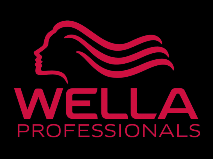 Wella logo logotype