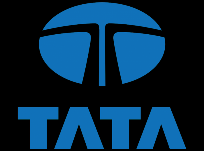 Tata group logo