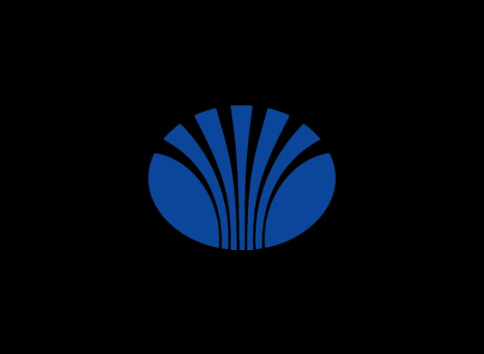 韩国Daewoo大宇企业集团logo设计