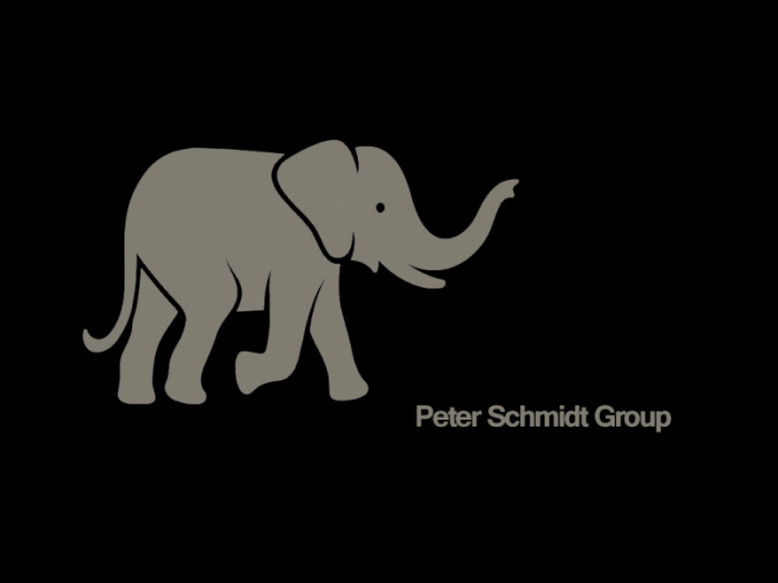 Peter Schmidt Group logo logotype