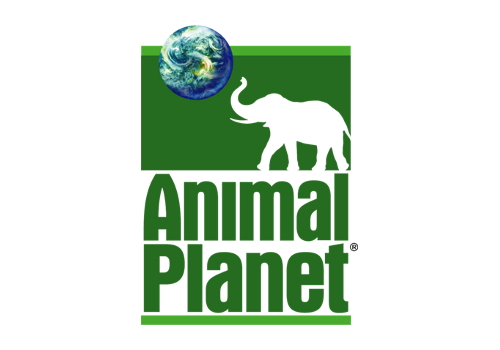 Animal Planet logo old