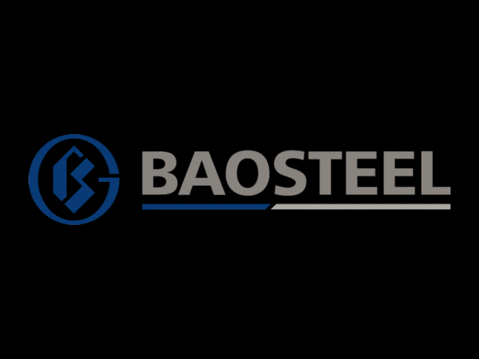Baosteel logo and wordmark