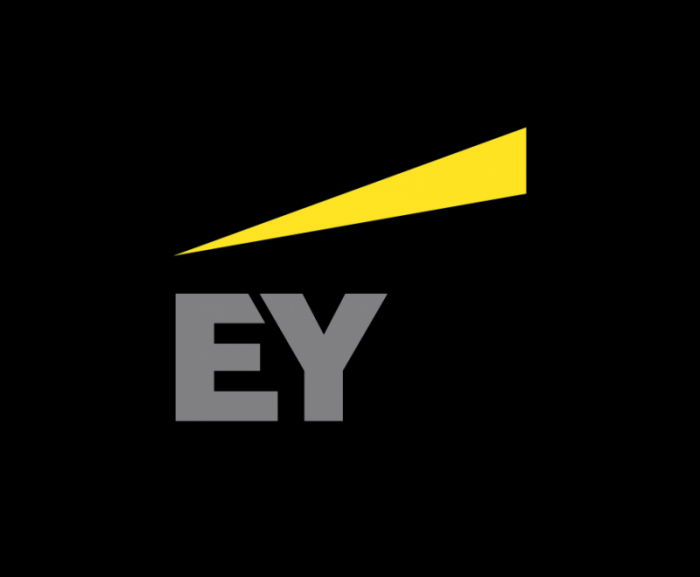 EY安永会计师事务所logo设计