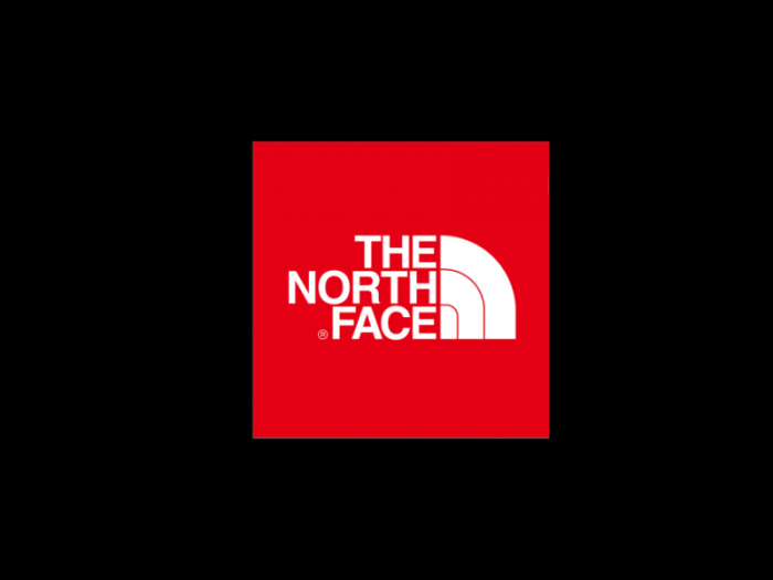 美国The North Face户外用品公司logo设计