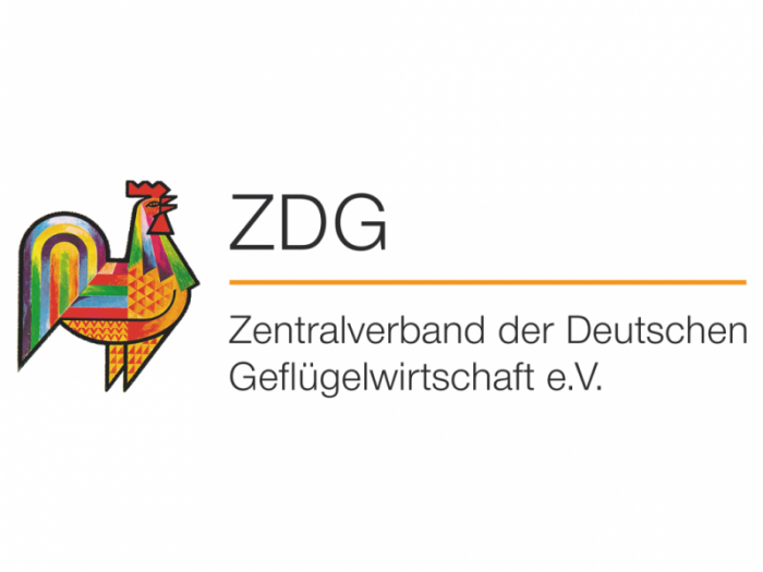 ZDG logo wordmark