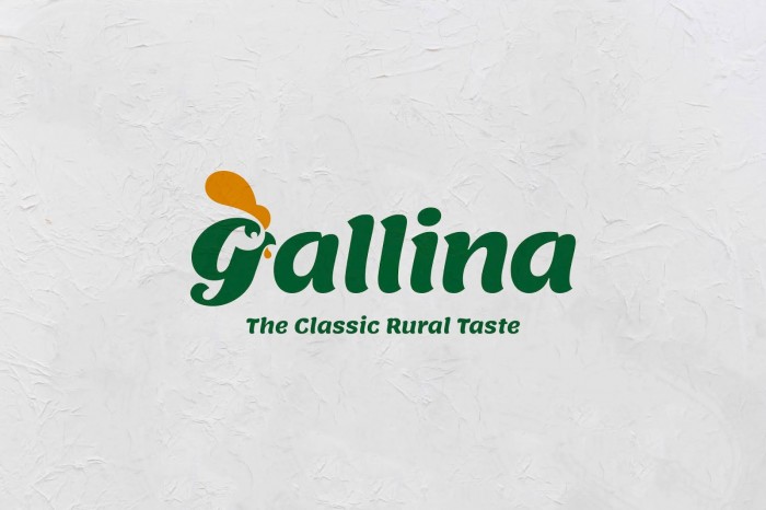 埃及农产品Gallina家禽鸡肉零售包装设计
