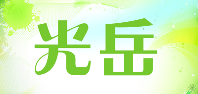 光岳镜片标志logo设计,品牌设计vi策划