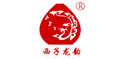 西子龙韵乐器标志logo设计,品牌设计vi策划