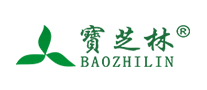 宝芝林网上药店标志logo设计,品牌设计vi策划
