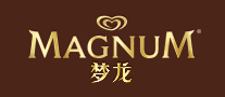梦龙MAGNUM标志logo设计,品牌设计vi策划