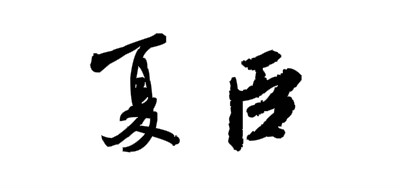 夏臣xiachen潜水泵标志logo设计,品牌设计vi策划