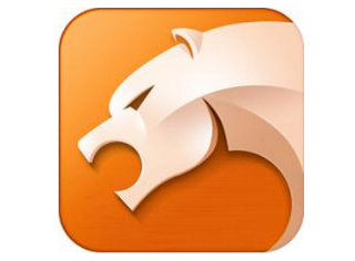 猎豹浏览器查询工具标志logo设计,品牌设计vi策划