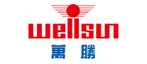 万胜WELLSUN电表标志logo设计,品牌设计vi策划