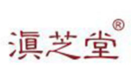 滇芝堂红枣标志logo设计,品牌设计vi策划
