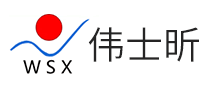 伟士昕WSX保健食品标志logo设计,品牌设计vi策划