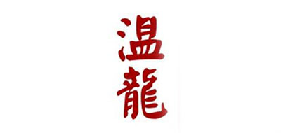 温龙电脑桌标志logo设计,品牌设计vi策划