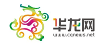 华龙网传媒公司标志logo设计,品牌设计vi策划