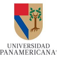 泛美大学（UP）logo设计,标志,vi设计