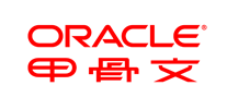 ORACLE服务器标志logo设计,品牌设计vi策划