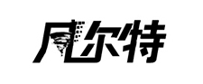 風(fēng)爾特平衡車標志logo設(shè)計,品牌設(shè)計vi策劃