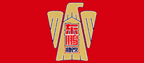 东鹏特饮运动饮料标志logo设计,品牌设计vi策划
