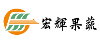 宏辉果蔬蔬菜标志logo设计,品牌设计vi策划