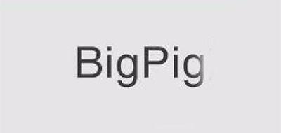 BIGPIG外套标志logo设计,品牌设计vi策划